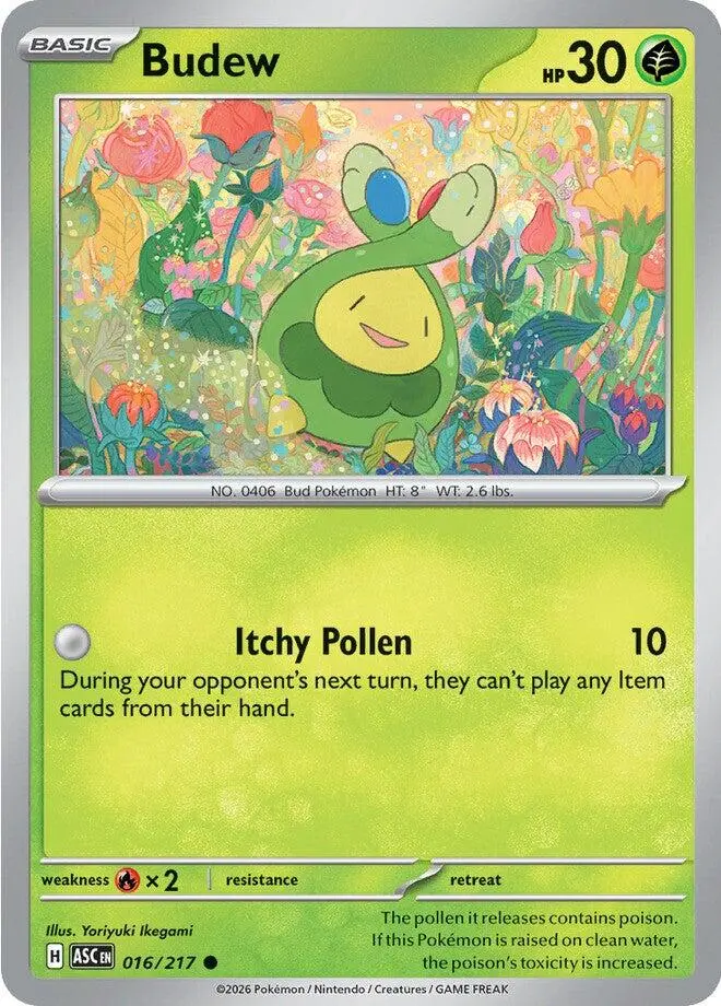 Budew (016/217) [Mega Evolution: Ascended Heroes] 1