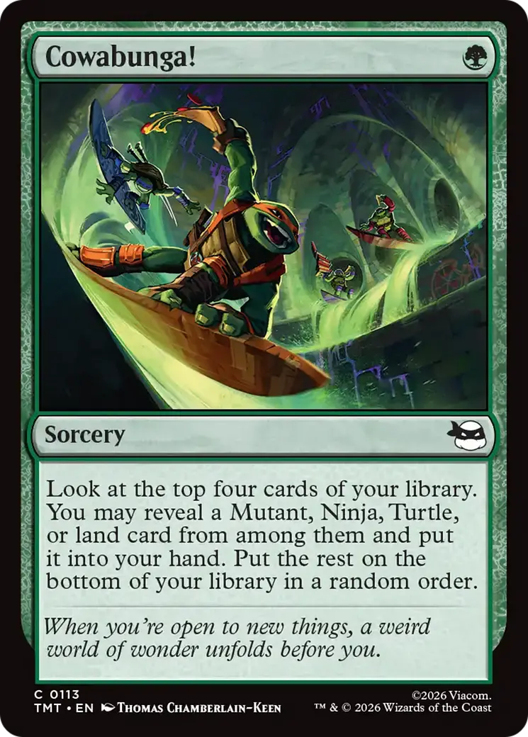 Cowabunga! [Teenage Mutant Ninja Turtles] 1