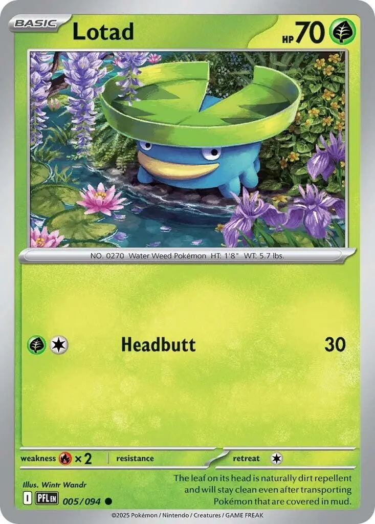 Lotad (005/094) [Mega Evolution: Phantasmal Flames] 1