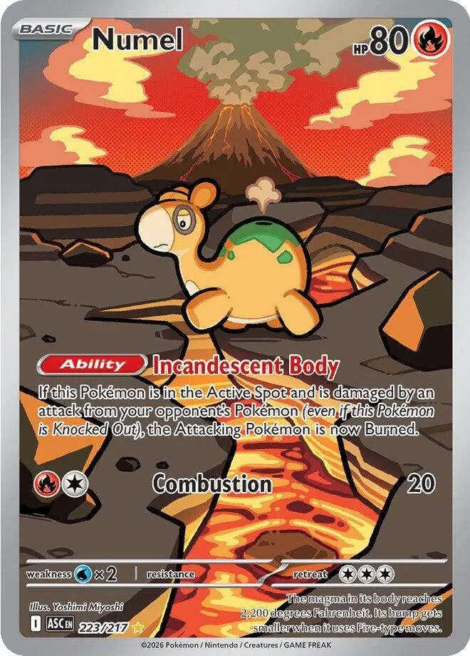 Numel (223/217) [Mega Evolution: Ascended Heroes] 1