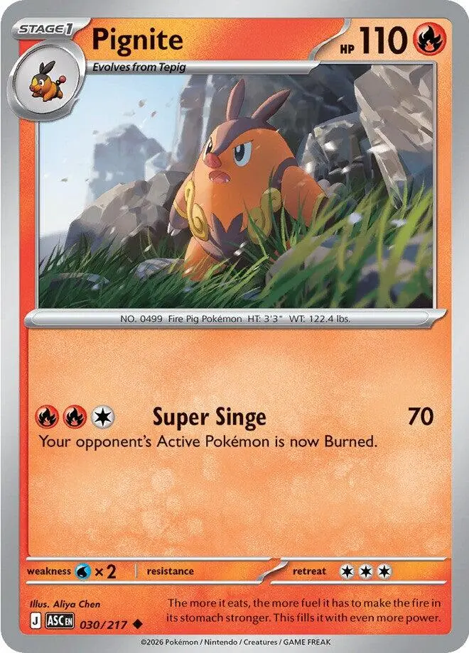Pignite (030/217) [Mega Evolution: Ascended Heroes] 1